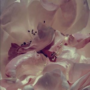 Meet your Posher, Klara